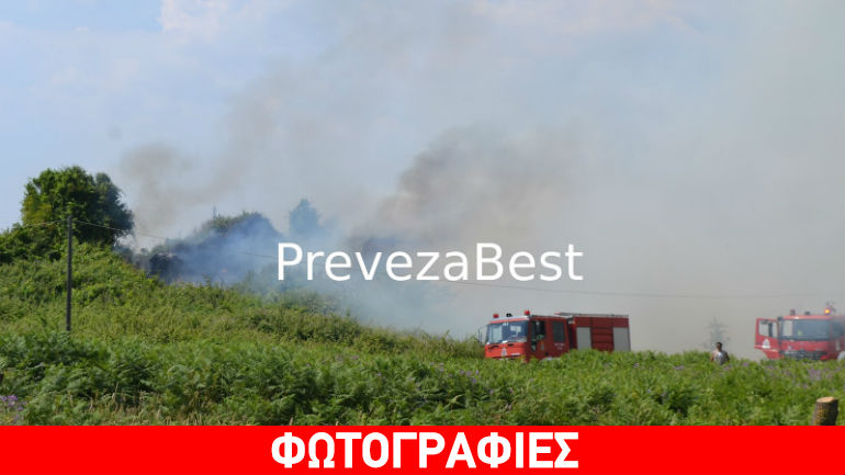 Πρέβεζα: Φωτιά σε αγροτική έκταση